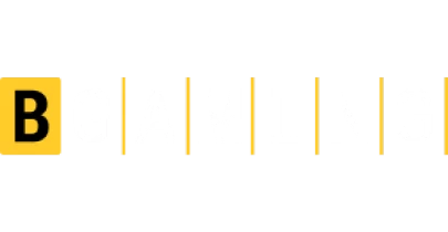 partners who work with Mystake